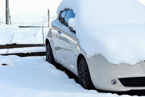 またまた大寒波がやってくるそうです☃